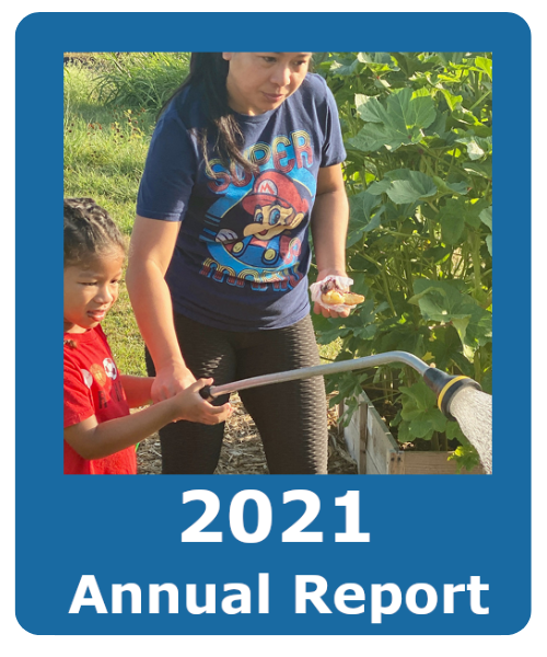 Annual Report 2021