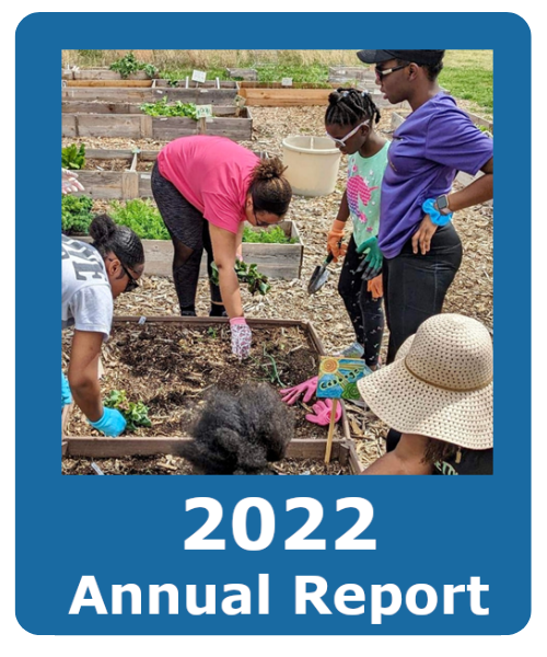 Annual Report 2022