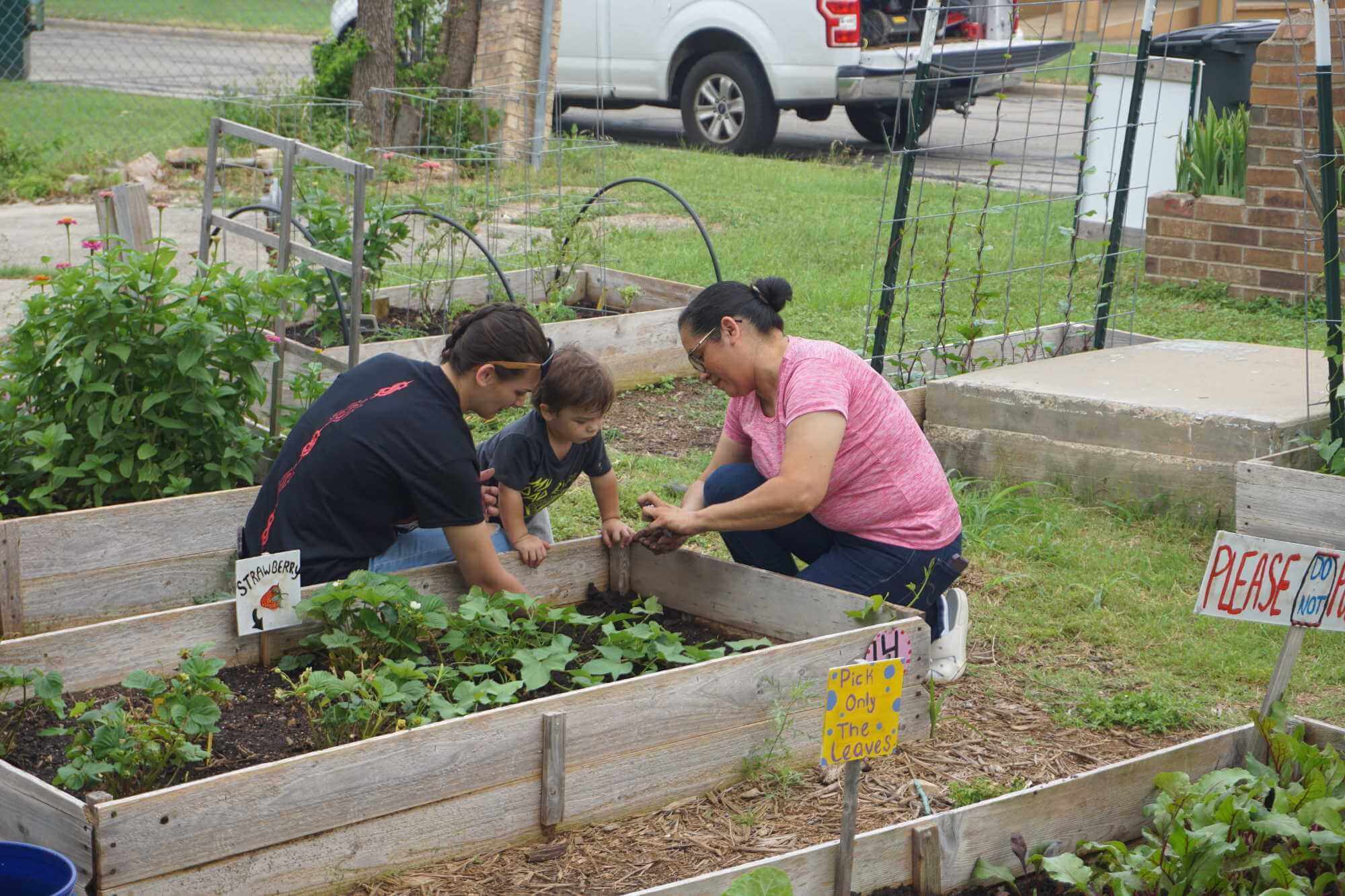 Two women and a child working on a strawberry box