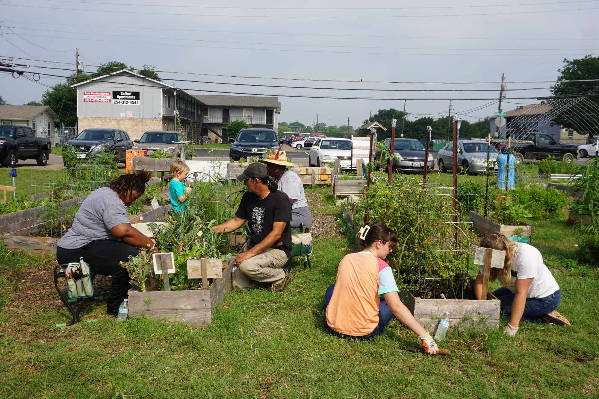 Adults and a child working in the vegetable garden